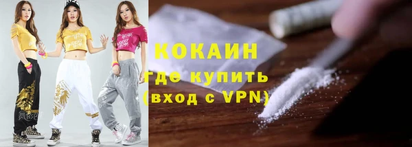 ГАЛЛЮЦИНОГЕННЫЕ ГРИБЫ Горняк