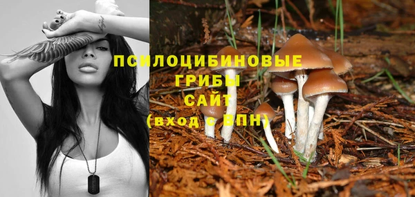 твердый Армянск