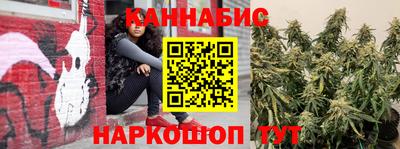 стафф Волгодонск