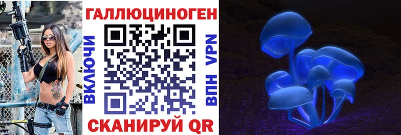 Галлюциногенные грибы Psilocybine cubensis  Котельники 