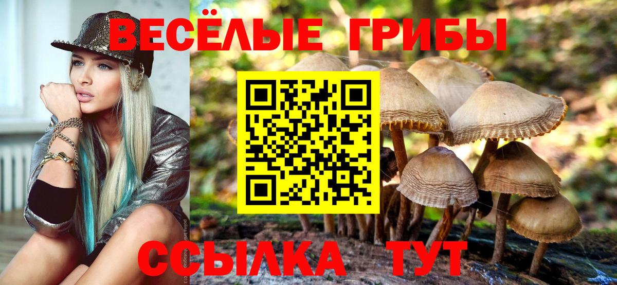 Псилоцибиновые грибы мицелий Котельники