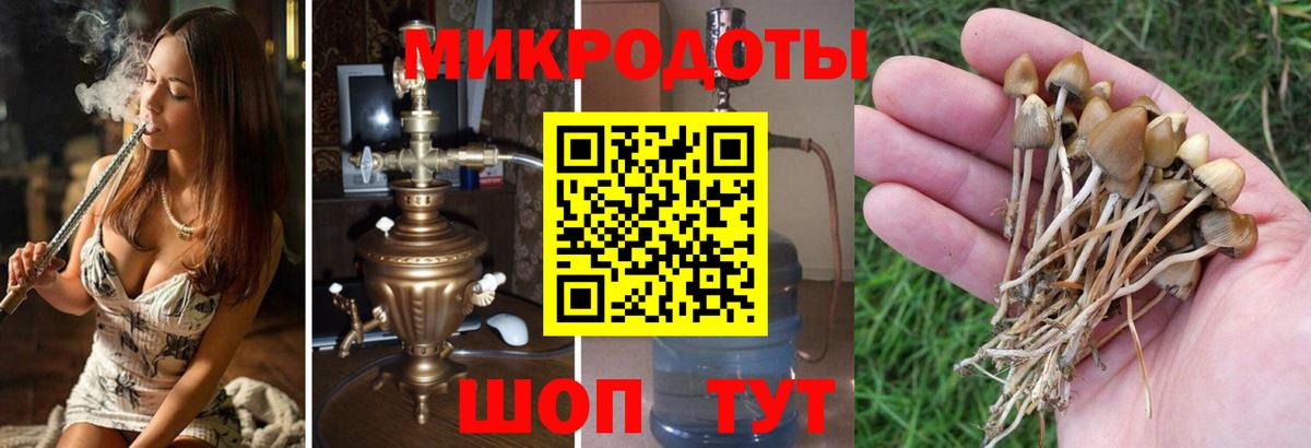 Псилоцибиновые грибы GOLDEN TEACHER  Вход с VPN  Галлюциногенные грибы мухоморы  Котельники 