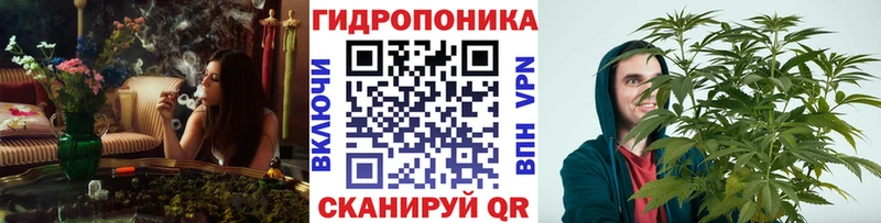 Конопля сатива  как найти наркотики  Котельники 